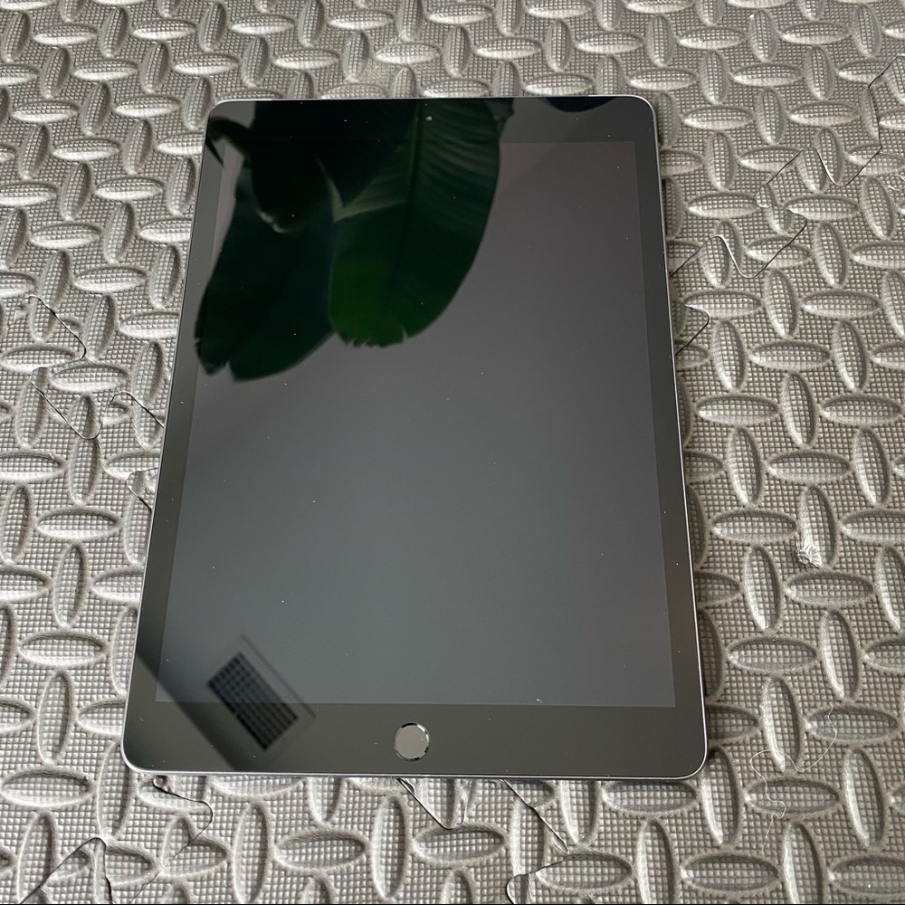 Apple iPad Brand New never been logged into.